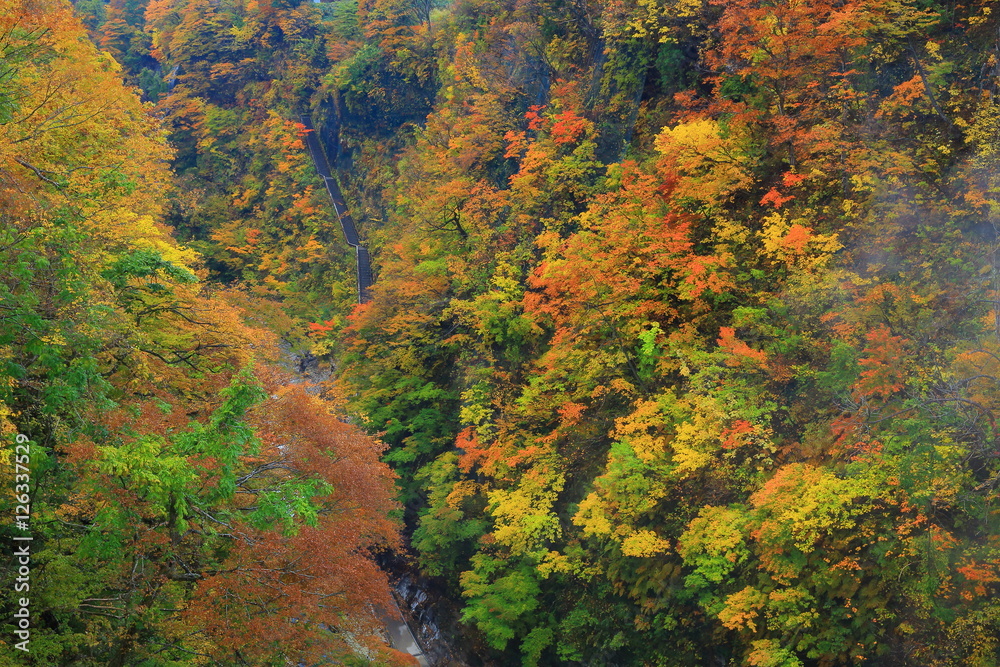 紅葉の小安峡 紅葉の小安峡