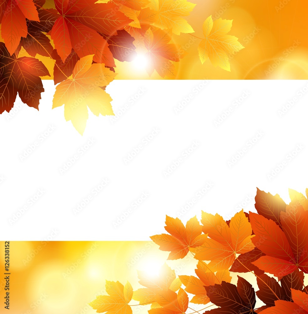 Fototapeta premium autumn flowers on white background