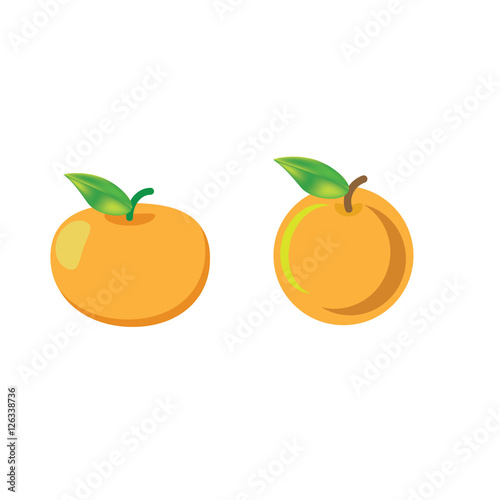 orange vector icon cartoon style isolated on white background. 