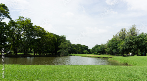 Green park at Vachirabenjatas Park (Rot Fai Park) Bangkok, Thail
