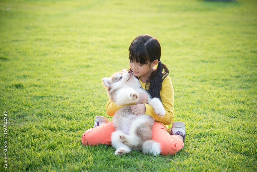 asian girl playing with siberian husky puppy asian girl playing with siberian husky puppy