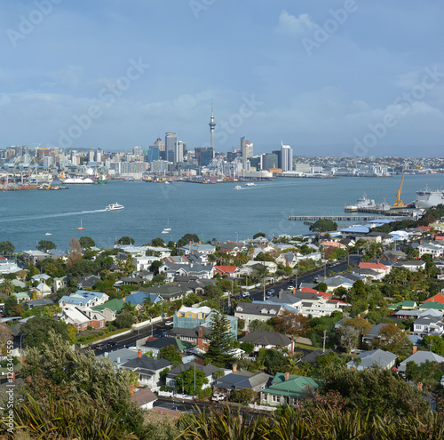 Auckland City vew from Mount Victoria, Devonport Royalty Free