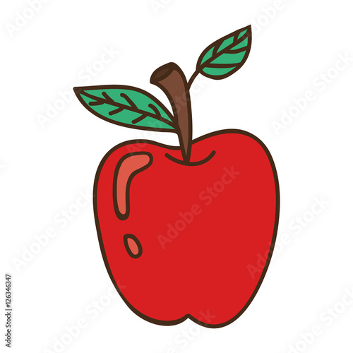 apple fruit icon over white background. draw design. vector illustration