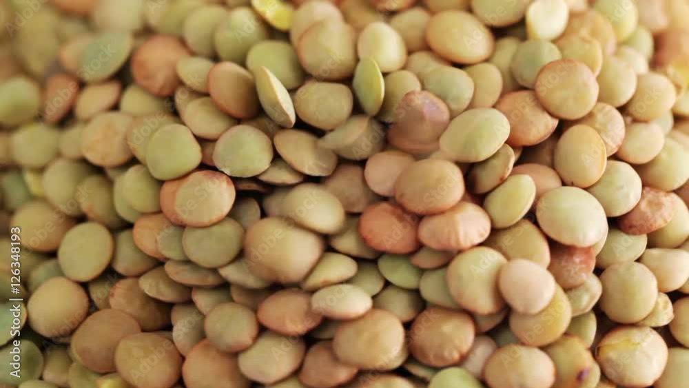 Green lentils seed on rotating stand; close-up; Green lentils seed on rotating stand; close-up;