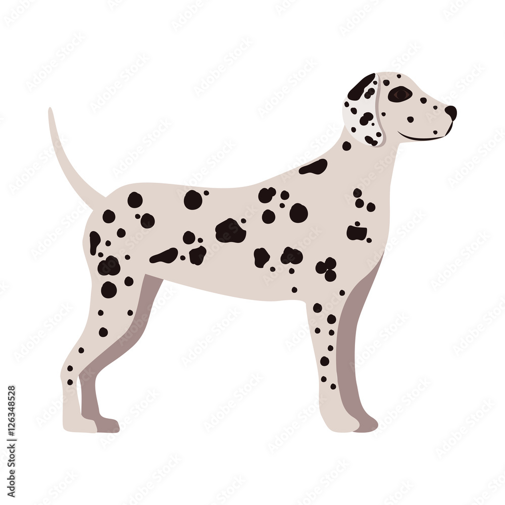 cute dalmatian dog animal icon over white background. side view. vector illustration