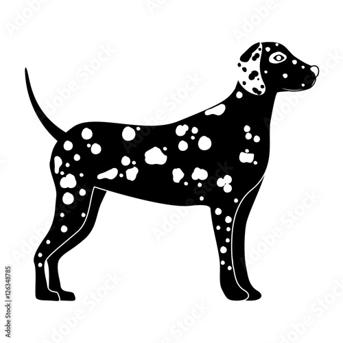 silhouette of cute dalmatian dog animal icon over white background. side view. vector illustration