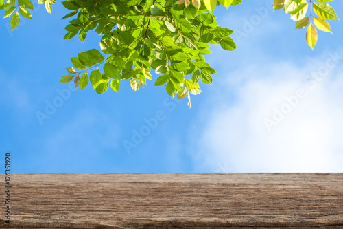 Empty wooden table over blue sky and branch background, for prod photo