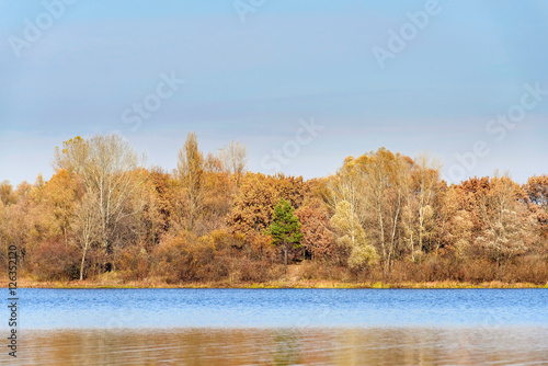 Warm view of trees close to the Dnieper river in autumn, a green fir stands out on the middleof the forest