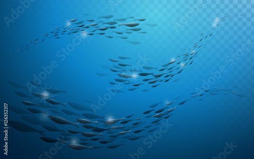 Canvas Print School of fish
