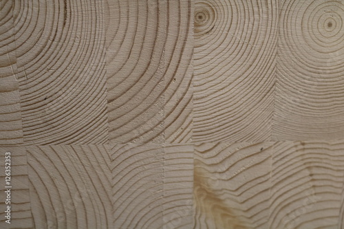 Wooden texture with growth rings