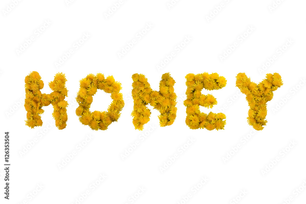 Inscription HONEY made of yellow dandelions on a white background. Isolated