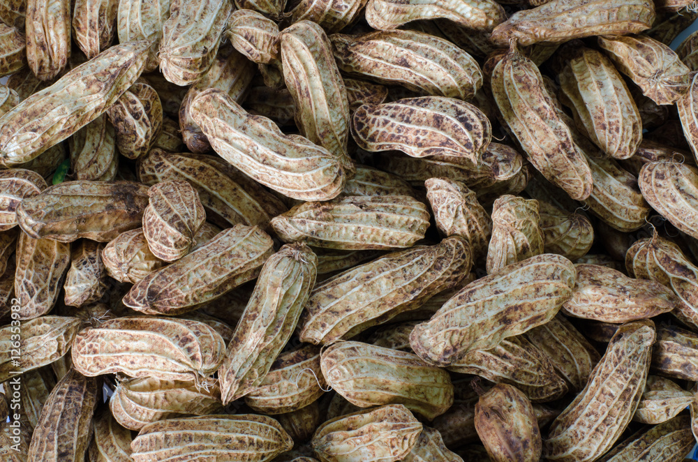 Fototapeta premium Peanuts in their shell to boil textured food background.