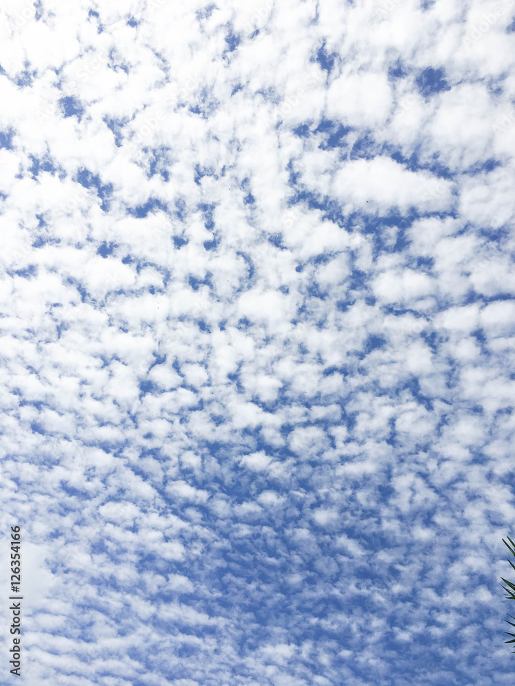 cloudy sky cloudy sky