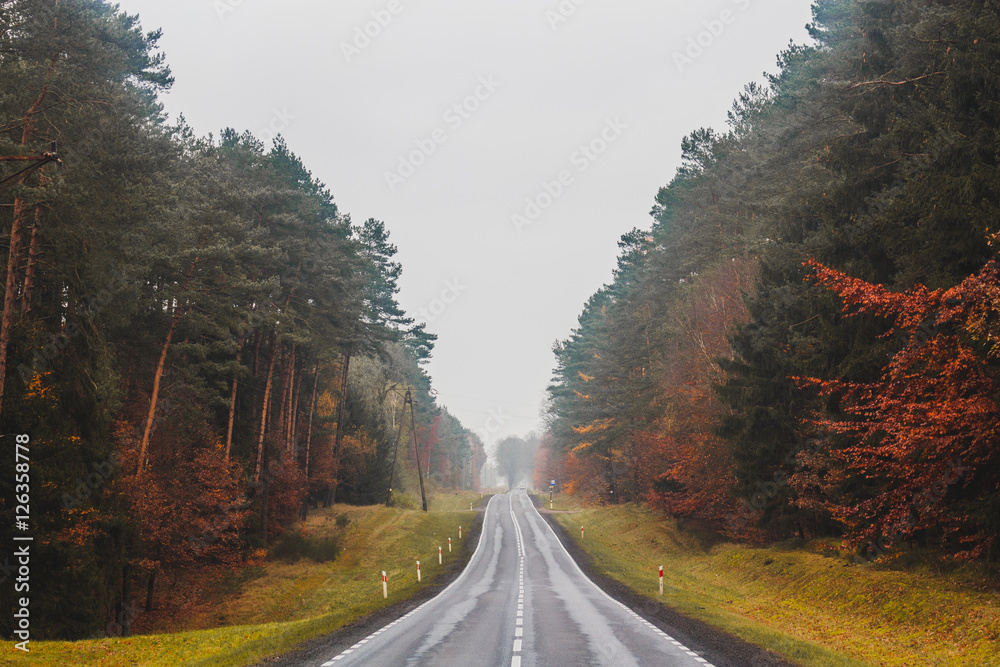 Autumn in Poland
