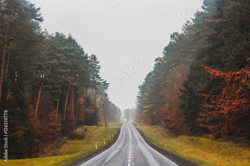 Obraz na płótnie Autumn in Poland w salonie