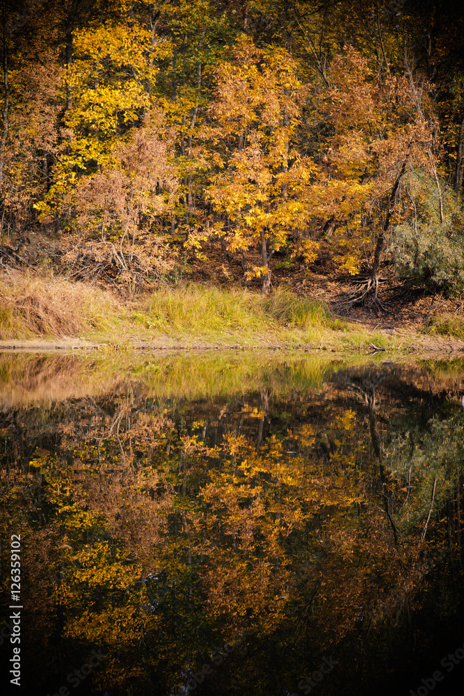autumn landscape on the river autumn morning. Belarus autumn landscape on the river autumn morning. Belarus