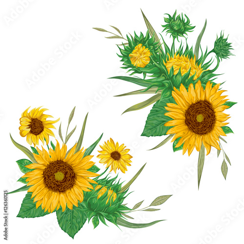 Fototapeta Naklejka Na Ścianę i Meble -  Sunflowers set. Collection decorative floral design elements for wedding invitations and birthday cards. Isolated elements. Vintage hand drawn vector illustration in watercolor style.