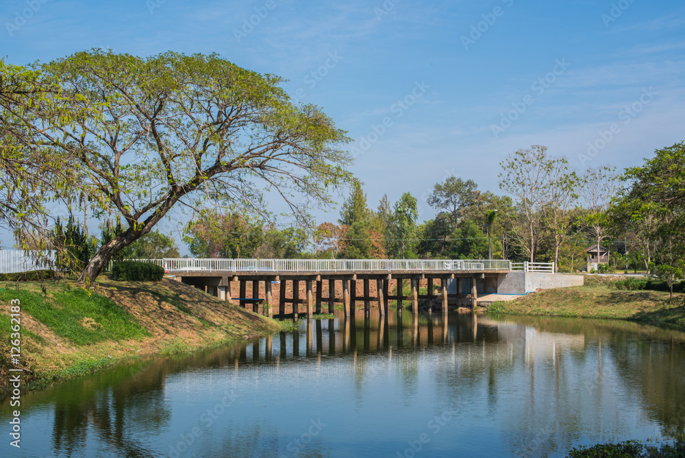 Landscape with a bridge in park