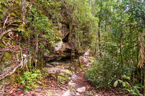 Trail in the rainforest at Bako National Park