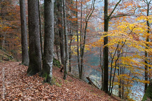 Koenigsee (Bavaria, Germany) / Lake in the fall