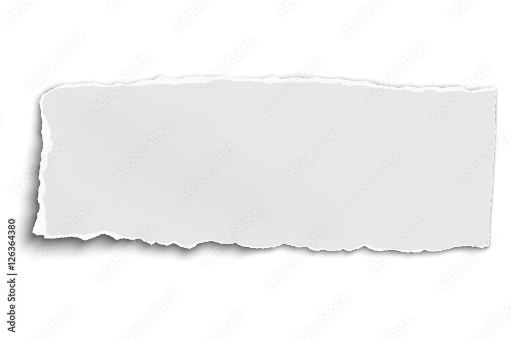 Obraz premium White vector oblong paper tear isolated