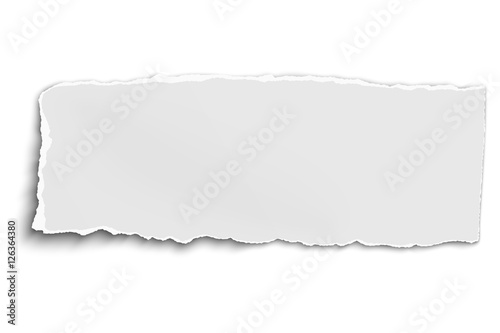 White vector oblong paper tear isolated