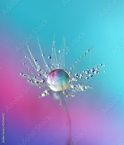 Beautiful dew drops on a dandelion seed. Close-up. Sparkling bokeh. Beautiful light blue and violet background.