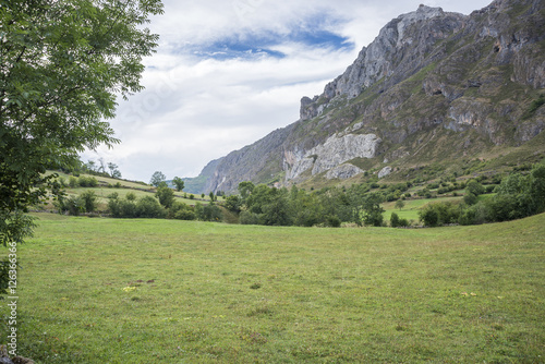 Hay meadows in Valle del Lago, one of fifteen parishes in Somiedo, a municipality located in the central area of the Cantabrian Mountains, Principality of Asturias, Spain photo