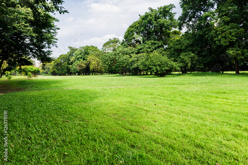 public park with green grass field