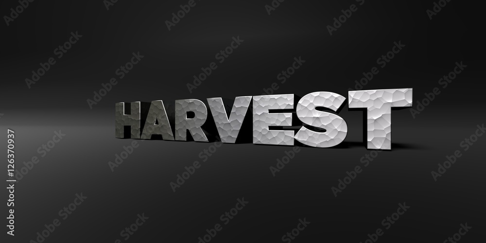 Obraz premium HARVEST - hammered metal finish text on black studio - 3D rendered royalty free stock photo. This image can be used for an online website banner ad or a print postcard.