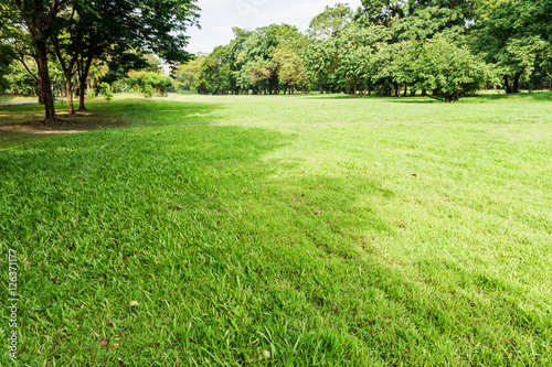 public park with green grass field