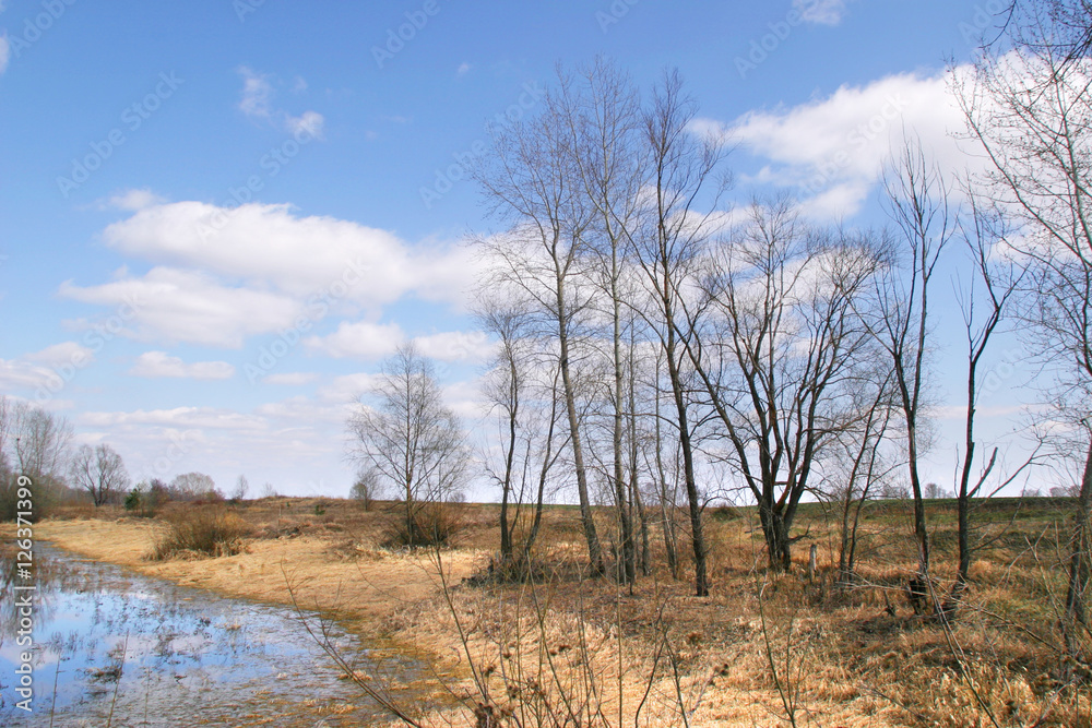 spring landscape spring landscape