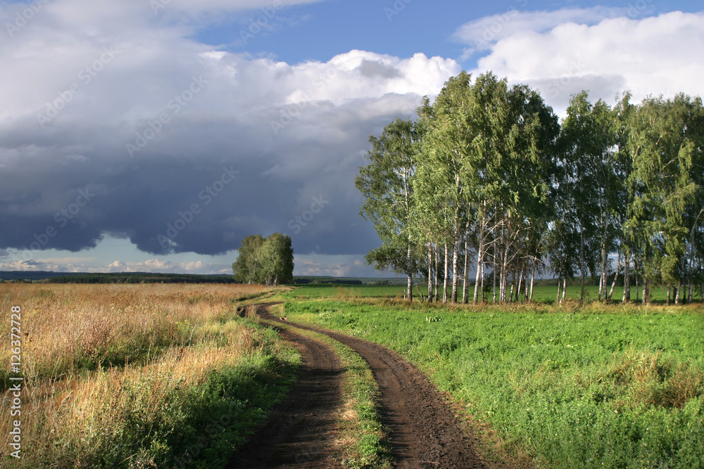walk in the field before the rain
