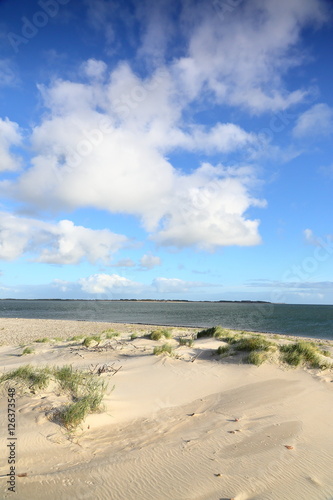 K  stenlandschaft auf Amrum an der Nordsee