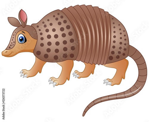 Funny armadillo cartoon