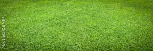 Panel kuchenny z motywem Green grass / herbe verte