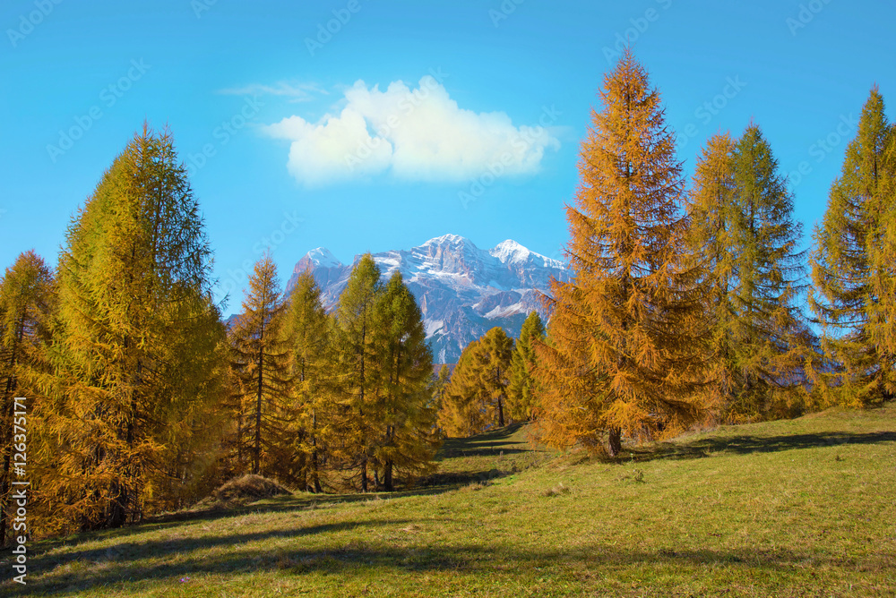 Magical autumn landscape with yellow larch on a background of m Magical autumn landscape with yellow larch on a background of m