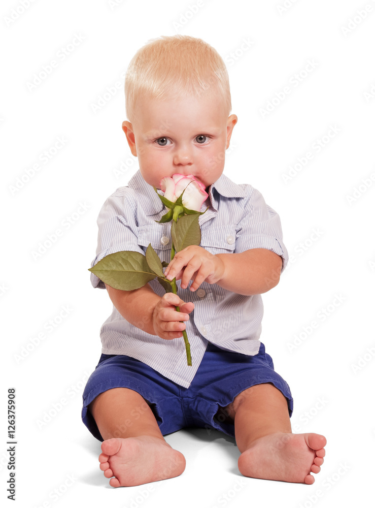 Beautiful little boy is sitting and holding rose isolated. Beautiful little boy is sitting and holding rose isolated.