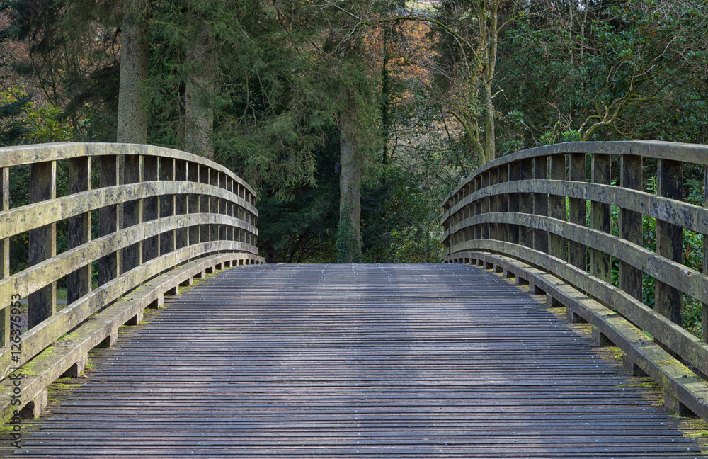 Curved wooden bridge in a country park
