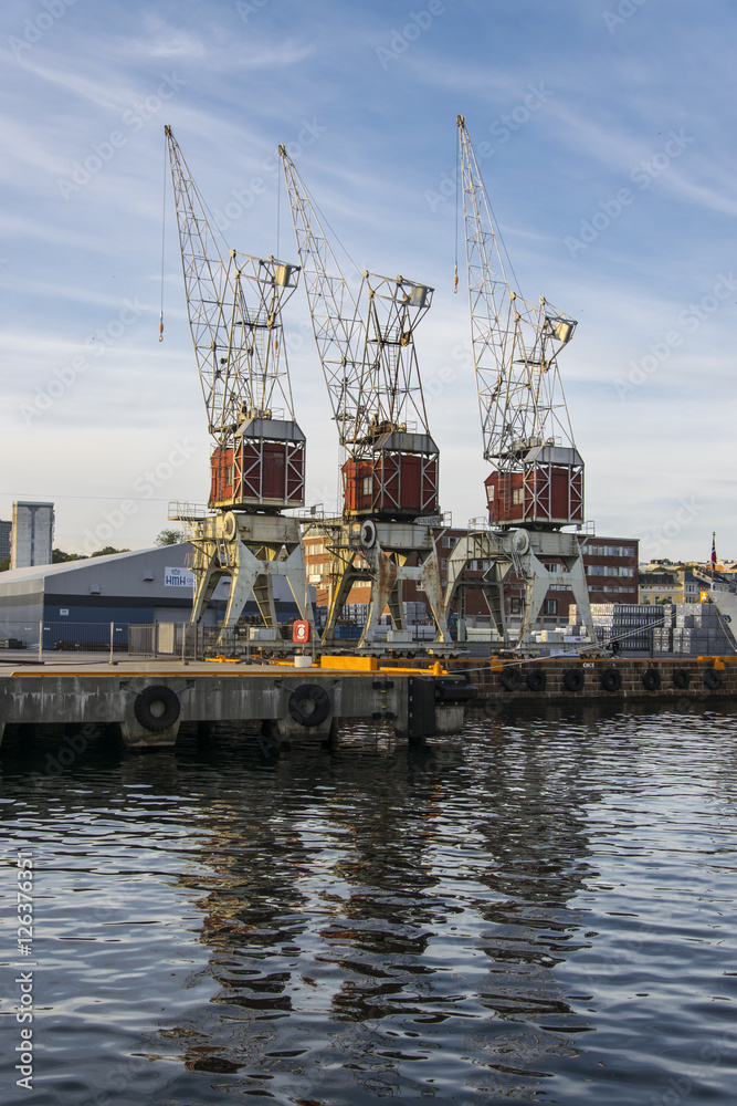 Cranes on a dock
