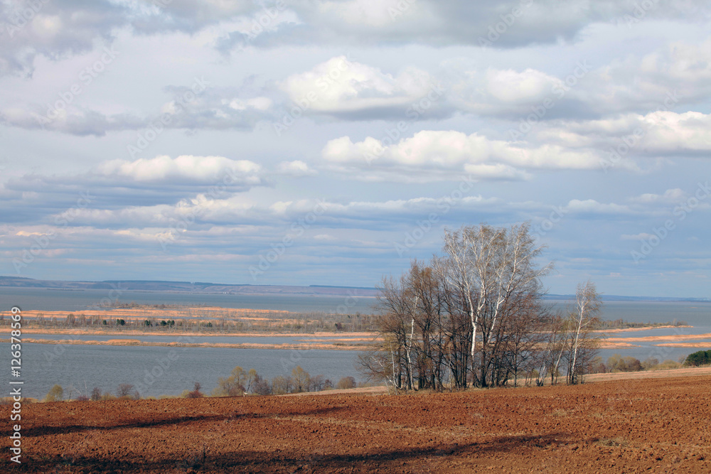 Obraz premium spring