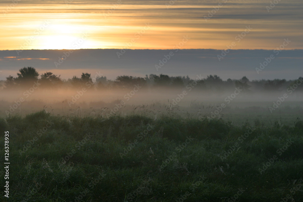 thick fog in the field at sunrise
