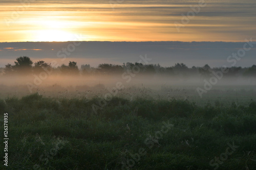 thick fog in the field at sunrise