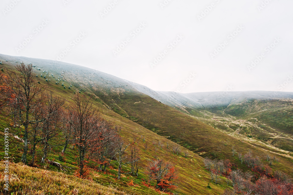 Scenic view of mountain autumn red and orange forests snow-cover