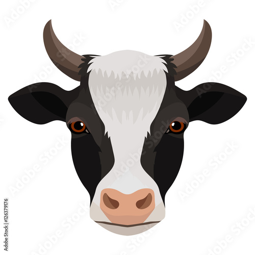 Vector white spotted black cow portrait