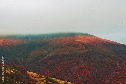 Colorful red autumn landscape in the mountain. Foggy morning mou © AS Photo Family