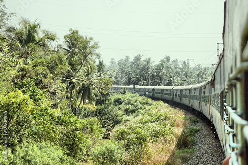 Indian Railways. Railway branch passes through palm forest