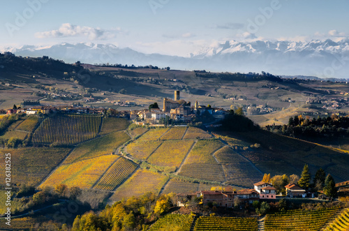 Vineyards of Langhe (Piedmont, Italy): view of Castiglione Falletto, medieval village, with mountains in the background photo