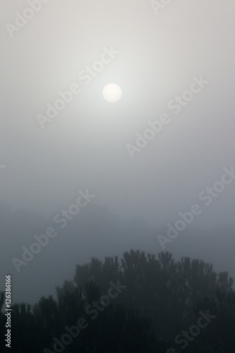Sun in the fog © Mauro Rodrigues
