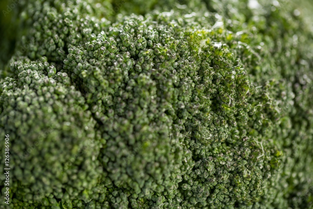Close-up of broccoli Close-up of broccoli